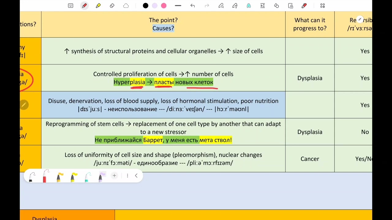 Cellular adaptations