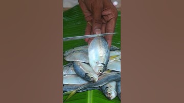 Mackerel Fish Curry || Village Style Fish Curry #cooking #shorts #asmr #fish