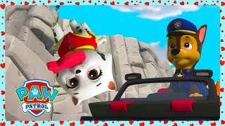 the mayors cat is falling paw patrol rescue compilation wildbrain kids