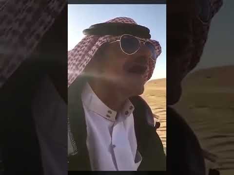 رياكشن شايب يضحك