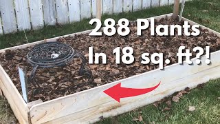 Break ALL The Spacing Rules - Grow MORE!