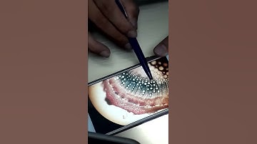 d8cd1-vb2 thực vật dược 1