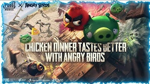 Pubg mobile!X Angry birds all reviews