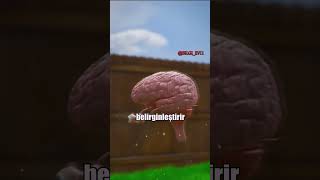 Stroboskopik Etki Nedir?