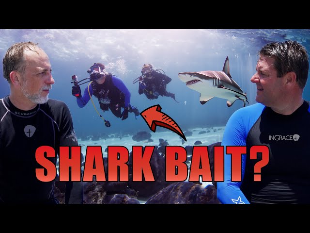 Diving During Shark Week - Thrilling Adventure or Dangerous Expedition? Jim Scudder & Robert Carter