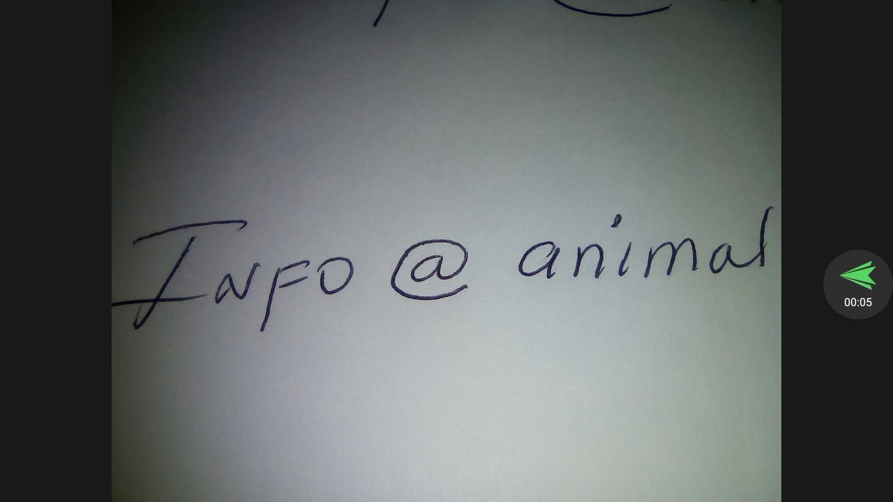 Igualdad animal/ info@ igualdad. No mas sufrimiento, para los animales practicus kabbalah