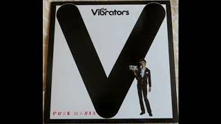 The Vibrators - Pure Mania 1977 Full Album Vinyl - YouTube