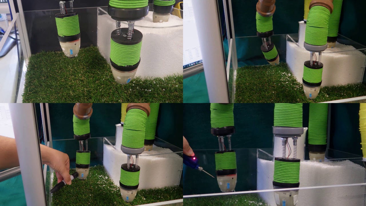 Plantoid - short version with no text