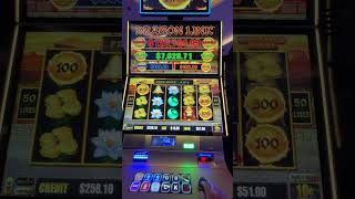 $10 POT BONUS!! #lasvegas #slot #casinogames #casino #gamble #jackpot #handpay