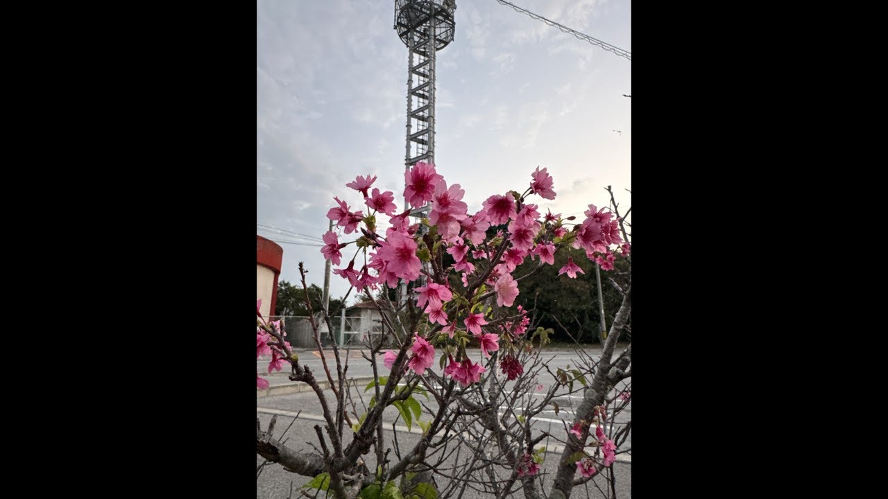 沖縄県　南城市　知念岬公園の朝