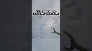 This is what an indie game looks like