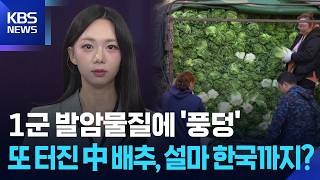 Soaked in Group 1 Carcinogens… Chinese Cabbage Scandal Breaks Out Again, Could It Reach Korea [W...