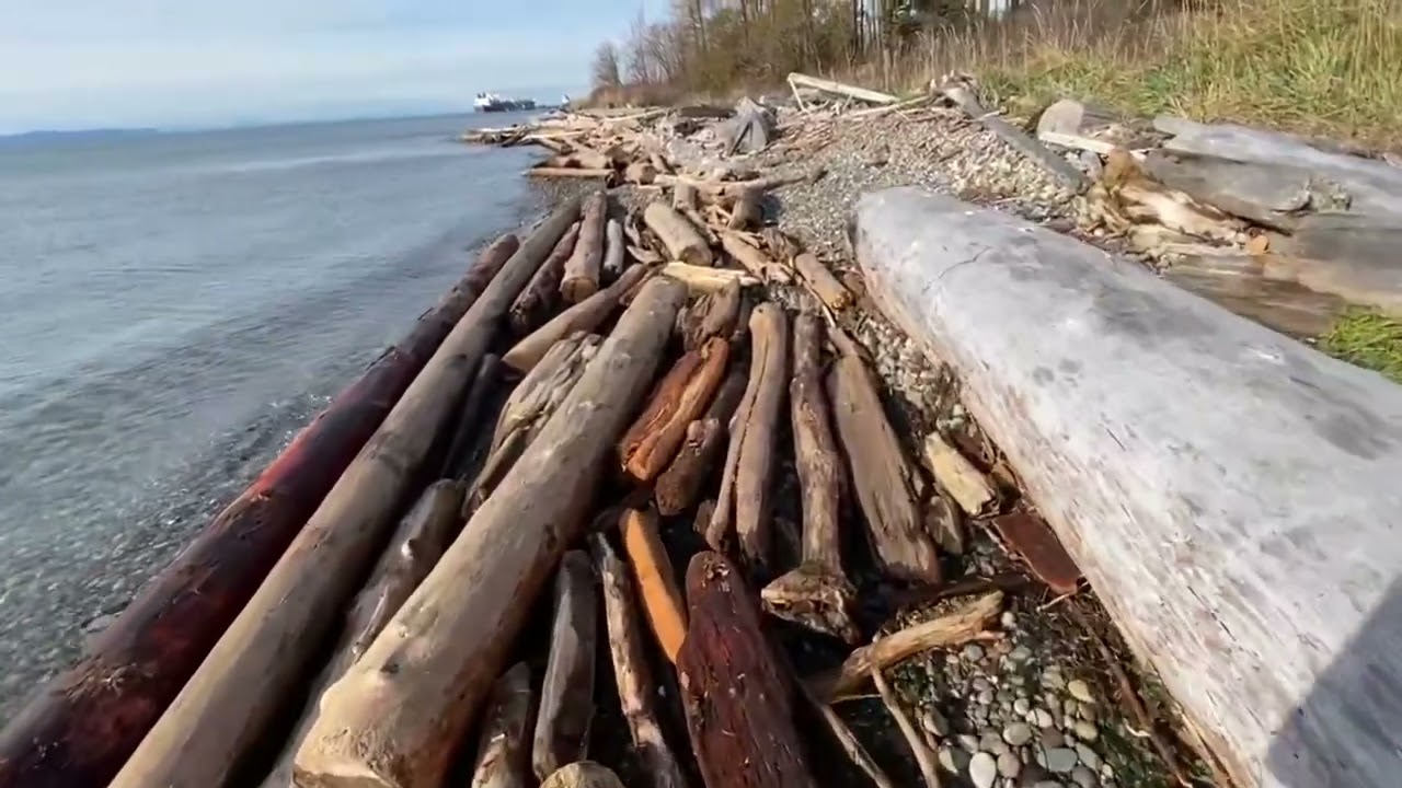 Beachcombing in the PNW