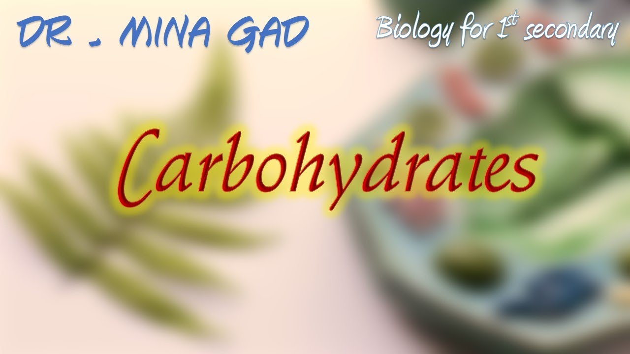 Carbohydrates - Biology for 1st secondary