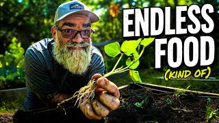Plant this once for Months of food
