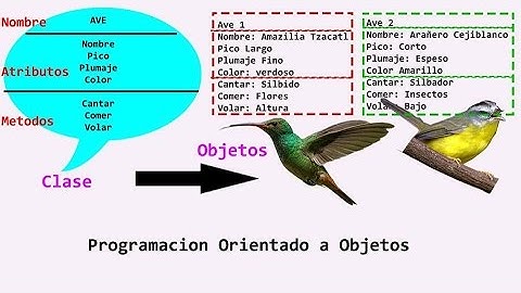 Introduccion a programacion orientada a objetos (POO)