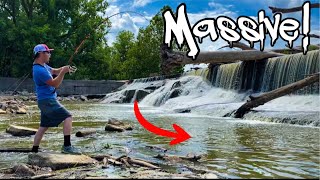 This Giant Spillway Is Loaded With Big Fish!!! (They Got Trapped!!)