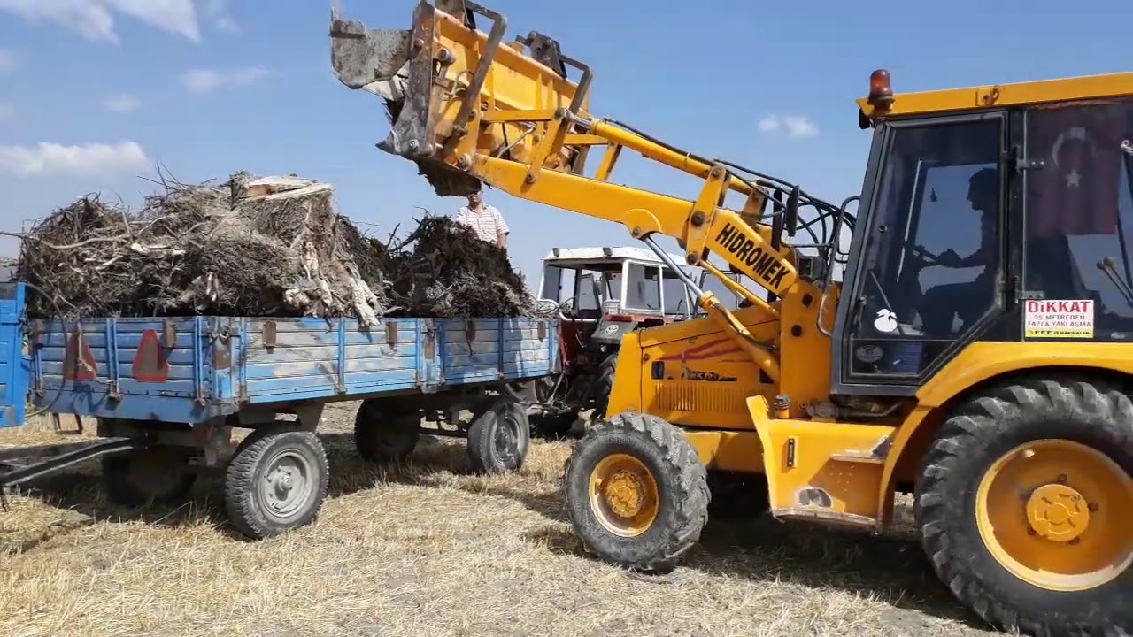 HİDROMEK KEPÇE MAKİNASI SÖĞÜT AĞACI KÖKLERİ YÜKLENDİ