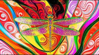 Two More Bromo-DragonFLY Trip Reports | Erowid Expeditions Episode 21