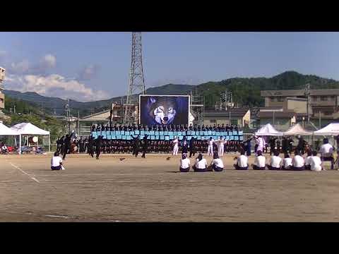 【岐阜】2017斐太高校体育祭　応援合戦～青団～