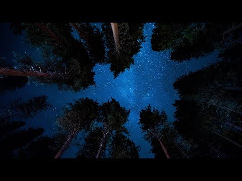 Best Of Dark Ambient N°2