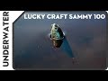 Lucky Craft SAMMY 100