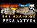 За Трофейным Сазаном! • 4.000 Подписчиков на канале! • Река Ахтуба • Русская Рыбалка 4 • ЭФИР #91