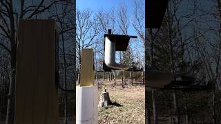 DIY Squirrel Proof Bird Feeder! #diy #birdfeeder #squirrel #homemade #wildbirds #backyard #animals
