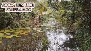 ACHAMOS UM CÓREGO ABANDONADO A DÉCADAS QUANDO JOGUEI A ISCA