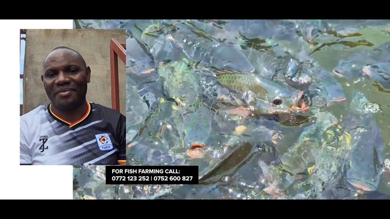 TANDIKA OLUGENDO LW'OBUGAGGA BWO LEERO! LUNDA NAFFE!