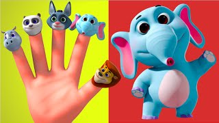 Wild Animals Finger Family 3D | Learn Wild Animals | Rhymes For Children