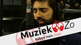 Video thumbnail of "Ruben Hein - Owls"