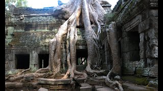 Hans Leisen Der Tempeldoktor Auf Rettungsmission Im Großen Tempel Von Angkor Wat
