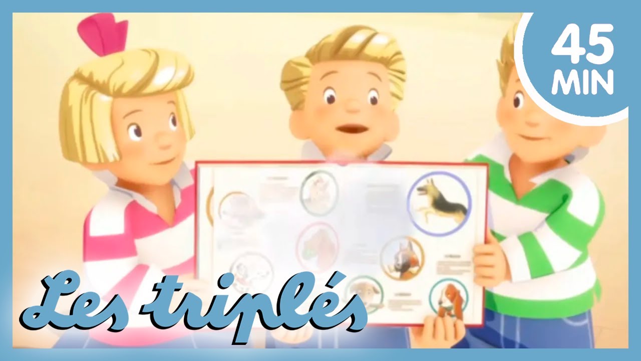 Quel chien auront les Triplés ? 🐶 COMPILATION HD POUR ENFANTS