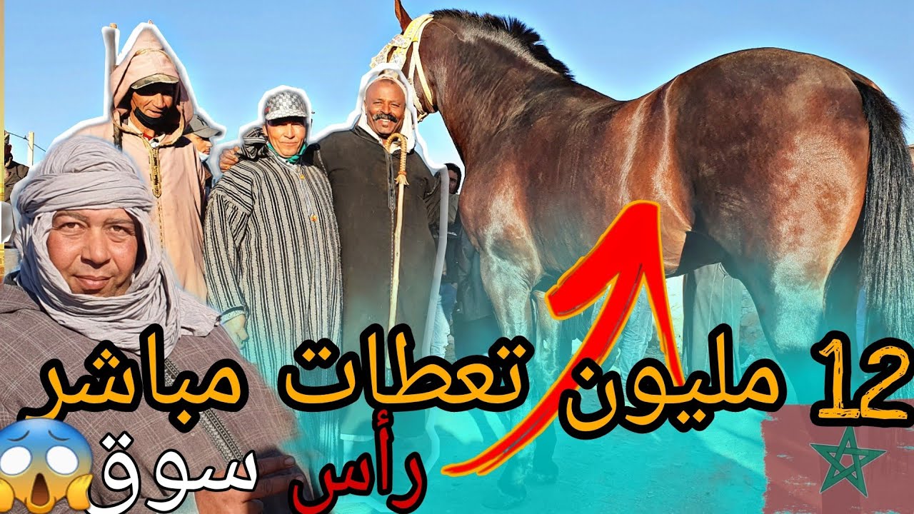 سوق لكفاف دخل جدع ملكي 😱هابل سوق كامل تعطات فيه 12  مليون