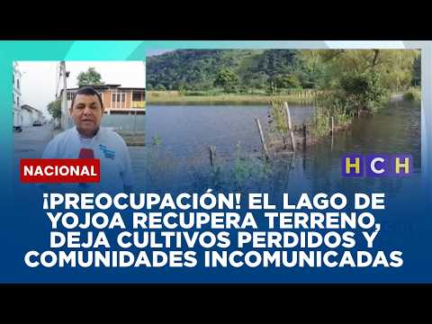 ¡Preocupación! El Lago de Yojoa recupera terreno, deja cultivos perdidos y comunidades incomunicadas