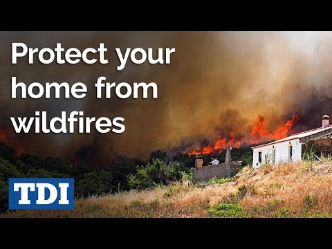 How to prepare for wildfires