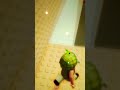 #robloxshorts это видео для тех людей как такие же как и я #memes #tut