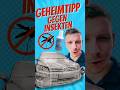 Insekten am Auto? So wirst du sie schnell los!