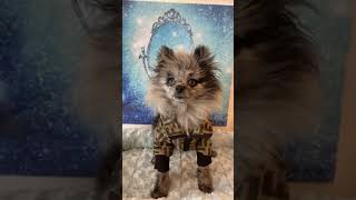 My Mom Isn T The Only Fashion Icon In The Family ?????? Paris Hilton