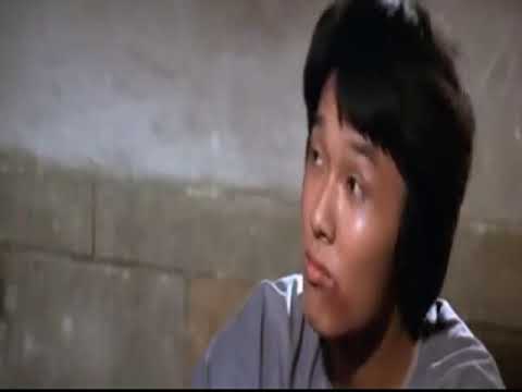 El Kung fu del mono (Monkey Kung fu) 1979