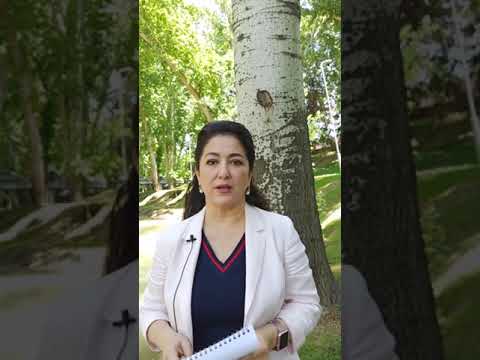 Video: Bizning Yaxlitligimizning Tarkibiy Qismlaridan Biri
