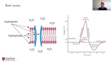 Intro to mechanosensory biology for transcranial neuromodulation research