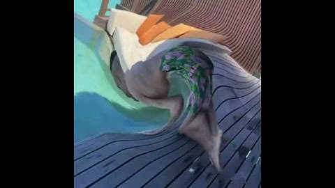 ШОК! MORGENSHTERN ПОЛУЧИЛ ЖМЫХ! МОРГЕНШТЕРНА ЖМЫХНУЛО, АЛИШЕР ПОЛЗЕТ НА КОЛЕНЯХ К БАССЕЙНУ 😂🤯...