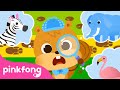 Who Took My Acorns? | Storytime with Pinkfong and Animal Friends | Cartoon | Pinkfong for Kids