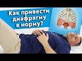 Как нужно правильно дышать? / Эффективная техника «Диафрагмальное дыхание»