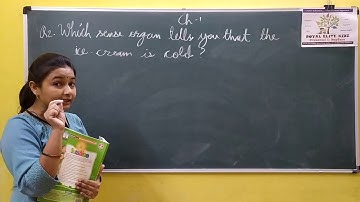 STD-1(ENG MED) EVS Ch-1 Ex Cordova