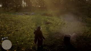 Red Dead Redemption 2:  Didn't see that, and random explosion!!