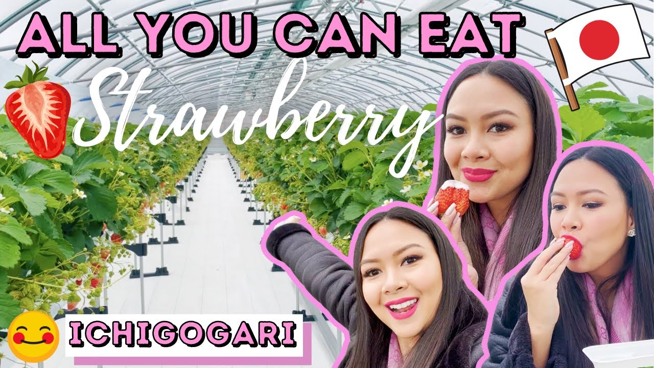 Life in Japan: Strawberry Picking (Ichigogari) | Part 1: Gotemba Vlog