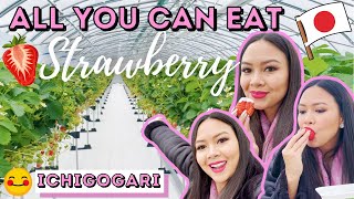 Life in Japan: Strawberry Picking (Ichigogari) | Part 1: Gotemba Vlog